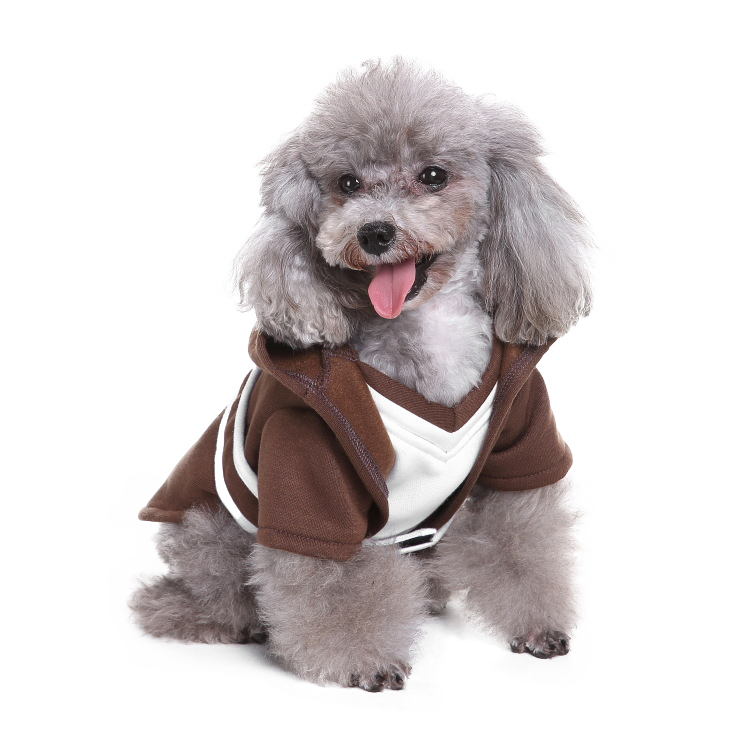 raças de cães ideais

