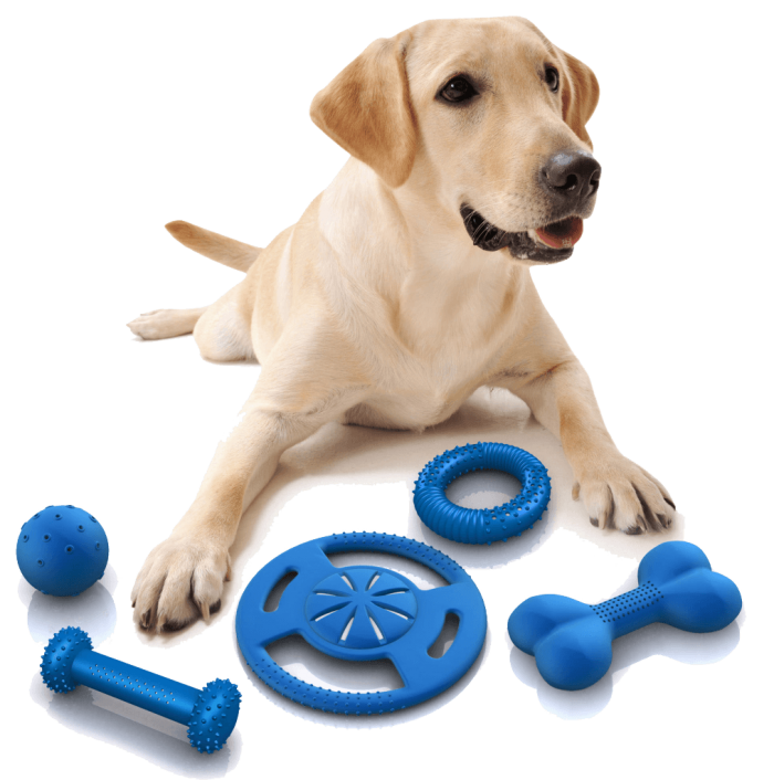 raças de cães